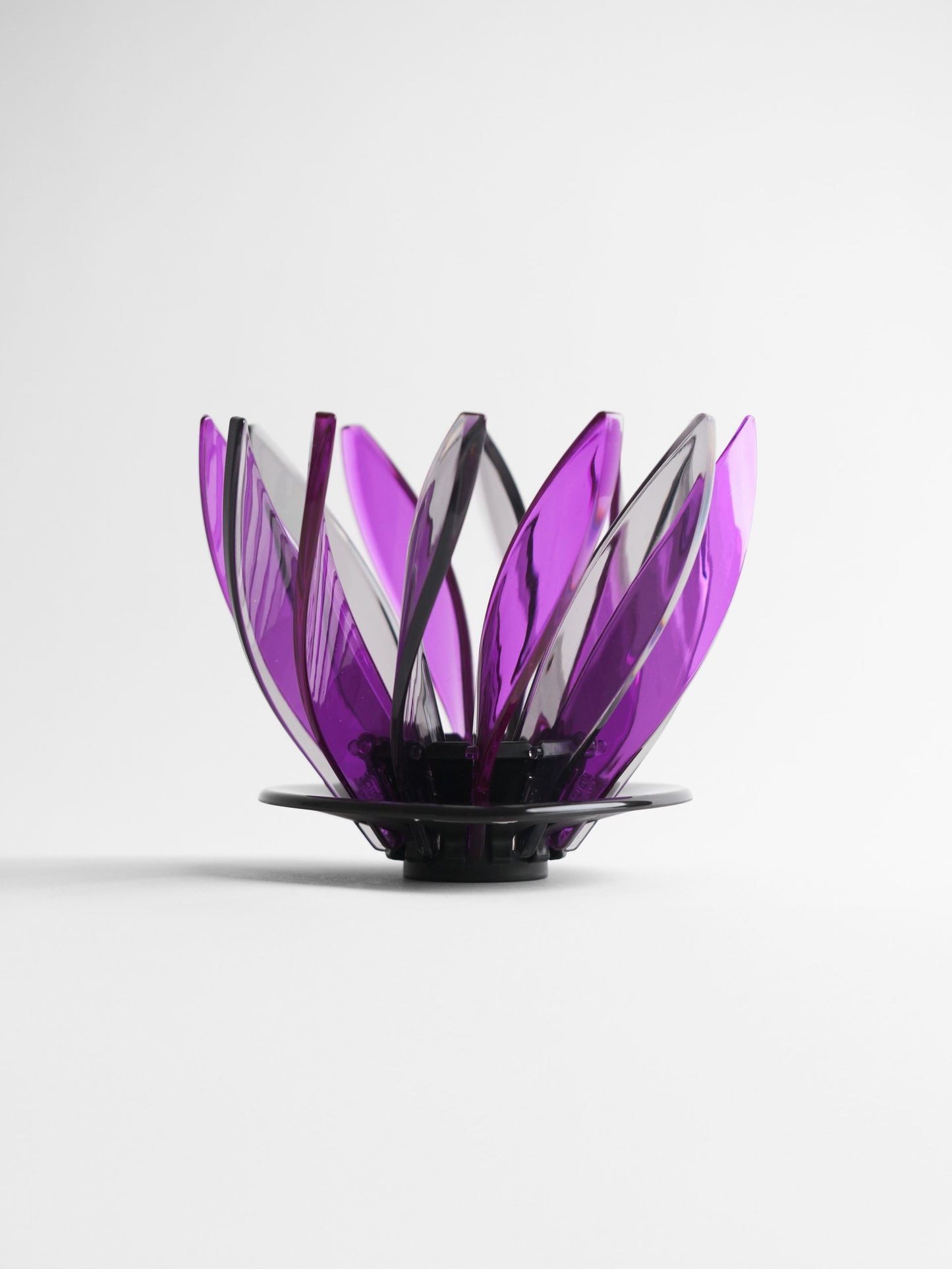 Hario Suiren Dripper Rib Set