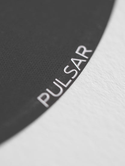 Pulsar Stainless Steel Filter Disc