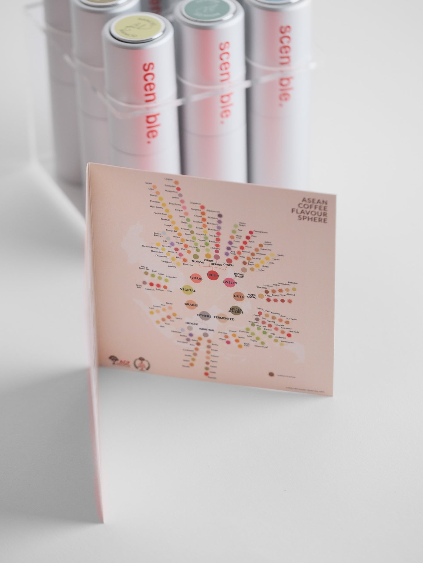 Scentible Sensory Kit - Defects